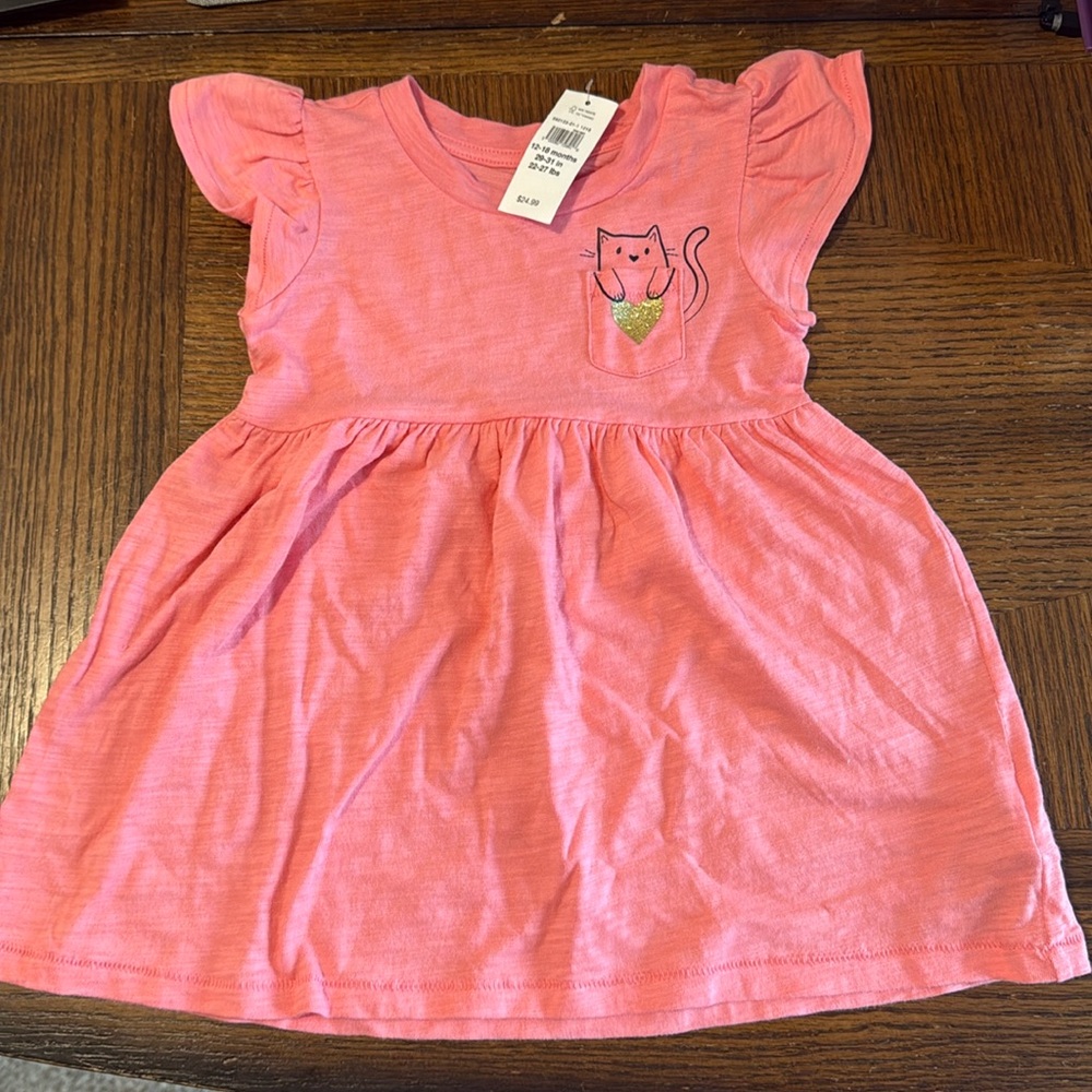 Baby Gap dress.